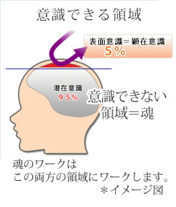 brain_map